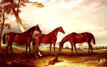 Caballo Painting - Marvel Kingfisher y el caballo muchacho John Ferneley Snr